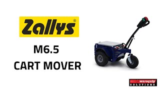 Zallys M6.5