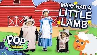 Mary Had A Little Lamb | Pop Babies