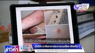 ชัวร์ก่อนแชร์ : “ตัวปีจัก” มากับอากาศ-ระบาดบนเตียง จริงหรือ?