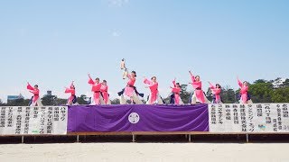 [4K] 藍流　どまつり夜桜in岡崎 2018