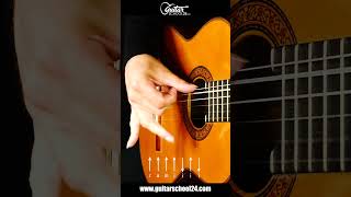 Flamenco Guitar Solo - "Panaderos Flamencos" Rasgueado-Rhythm