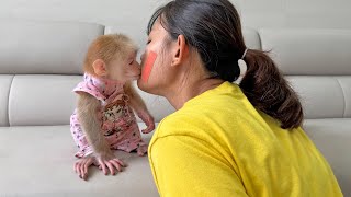 Lucky gently cuddles mom, worried when seeing the wound on her cheek