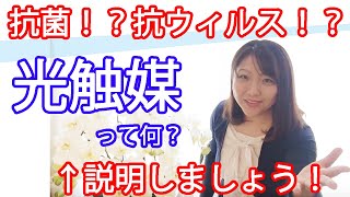 【抗菌】【抗ウィルス】光触媒って何？店長が解説します！実はとっても身近なもの！