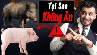 Tại Sao Người Hồi Giáo Không Ăn Thịt Heo?? 😮 WHY MUSLIMS DON'T EAT PORK?