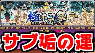 【にゃんこ大戦争】本垢はもう信用できないからサブ垢で極ネコ祭やります！【サブ垢実況#144】