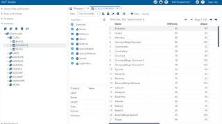 SAS Bootcamp 2.3 - Conditional logic part 2