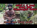 Cannabis| Amaizing climb | වත්තෙම  පොල් ක්‍ෂණිකව කඩන බණ්ඩාරගෙ වැඩ | Wasantha Sena Valianga| Bandara