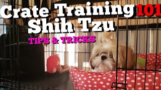 Crate Training Puppy Whining at Night