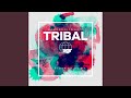 SoundGroove presents Tribal - Mixed by Midnight Society, Pt. 1 (Continuous Mix)