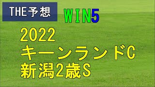 競馬　THE予想　WIN5　2022キーンランドカップ　新潟2歳S