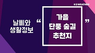 [날씨] 가을 단풍 숲길 추천지/2024.10.25.KWEATHER