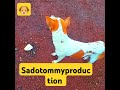 sadotommyproduction 🐶🐕 ⭕එයාගේ සැර⭕