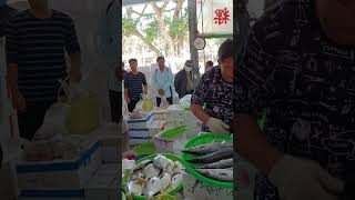 帥老爸說我在竹圍漁港吃一隻馬頭魚600 這一盤8隻500沒人要 #中彰海王子 #彰化八卦山觀光市集 #海鮮叫賣 #海鮮拍賣 #叫賣哥 1