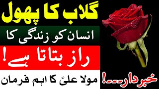 Gulab Ka Phool Zindagi K Raaz Batata Hai Imam Ali as Quotes Urdu | Mehrban Ali | گلاب کا پھول | Rose