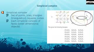 MLBBQ: Topology-Preserving Deep Image Segmentation by Noah Lewis