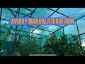 Aviary baru mandala birdfarm P:7 L:6 T:4 cilacap jawa tengah