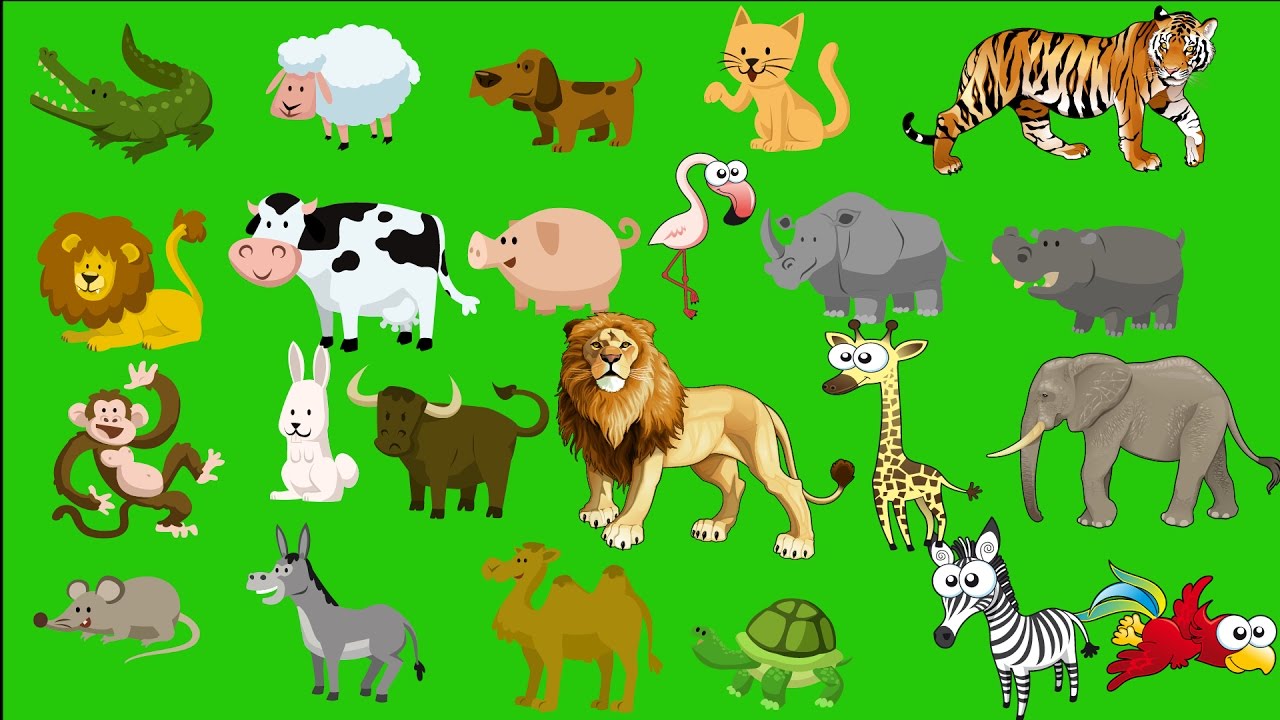 Wild animals play. Животные картинки для детей. Животные for Kids. Wild animals для детей. Животные pictures for Kids.