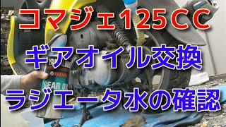 コマジェギアオイル交換とラジエーター水の確認