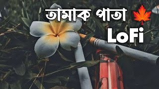 তামাক পাতা লফি 🍁 | tamak pata [LoFi] 🍁