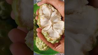 What is the local name for this fruit? #Custard apple #Cherimoya #Sugar apple #Annona #Sitaphal