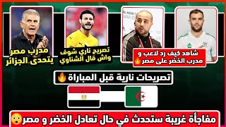 عاجل لن تصدق واش قال مدرب و لاعب مصر قبل موجهة الخضر - و شوف كيف رد عليه بوقرة | مفاجأة غير متوقعة