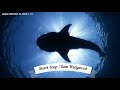 Shark Soup - by: Sam Wedgwood | ABRSM Piano 2021-22, Grade 4 : C3