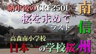 Vol.129 南信州 桜を求めて 日本一の学校桜(20210401-3)