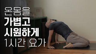 몸과 마음을 한결 가볍게 만들어 주는 1시간 요가 (칼로리 소모 운동 · 스트레스 해소 · 건강한 다이어트) | 요가소년 373