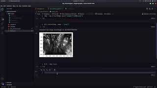 LSB Steganography Python tutorial.