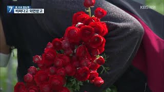 꽃 수요 없는데, 비싸다고 외면…화훼농가 어려움 가중 / KBS 2021.03.09.