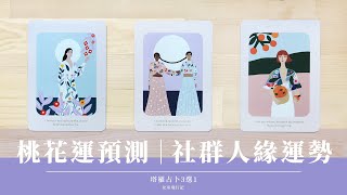 占卜 3選1｜人氣桃花運勢預測🌷社群人際｜近期我該更主動or更低調？｜指導靈卡提醒 ⏰｜無時間限制 Timeless｜塔羅占卜