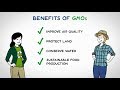 Let’s Discuss GMO Effects on the Environment | GMO Answers