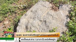 ชุมพร พบซากฟอสซิลสุสานหอยอายุหลายพันปี | 10-01-61 | ตะลอนข่าวเช้านี้