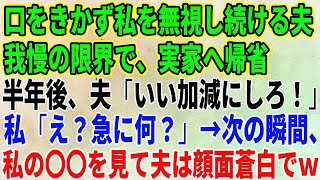 【スカッとする話】口をきかず私を無視し続ける夫。我慢の限界で、実家へ帰省すると半年後、夫「いい加減にしろ！」私「え？急に何？」→次の瞬間、私の〇〇を見て夫は顔面蒼白でｗ【修羅場】