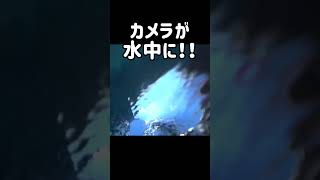 まさか落下するなんて。。。 #釣り #筏釣り　#ハプニング　#ハプニング動画