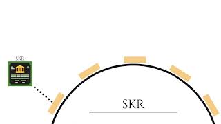 Bank Instrument: SKR