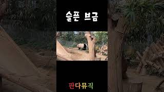 내가 쓰려고 만든 판다뮤직 슬픈브금