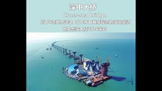 深中大桥（第一集）跨越海洋-中国跨海大桥china  shenzhen-zhongshan  cross sea bridge construction