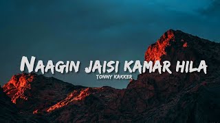 nagin jaishi kamar lyrics/ lyric video