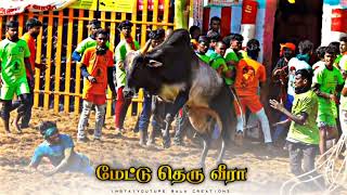 🔥🤫Annavasal mettu theru Veera...palamedu jallikattu 2023😘❤👑