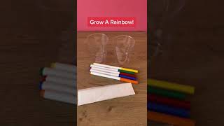 Grow A Rainbow! | STEM For Kids | Science Experiment | #shorts