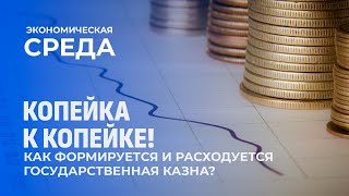 Копейка к копейке! Как формируется и расходуется государственная казна? Экономическая среда