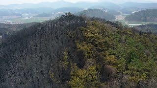 화마 덮친 지역들, 야속한 장맛비에 '이중고' / 연합뉴스TV (YonhapnewsTV)