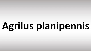 How to Pronounce Agrilus planipennis