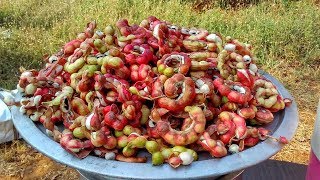 Pithecellobium Dulce Bean Curry || Seema Chintakaya curry || Madras Thorn Curry