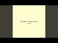 Cascade Fragile Serene