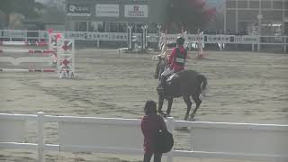 2018.11.3 全日本学生馬術大会 2018 第68回全日本学生賞典障害馬術競技大会 高橋駿人 慶紗号