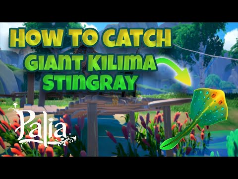 How and where to catch the giant Kilima stingray in Palia