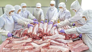 Amazing scale! Korean Cheese Tonkatsu Factory Production Process - Korean street food