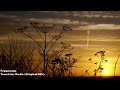 fragmente transistor radio original mix hd 1080p